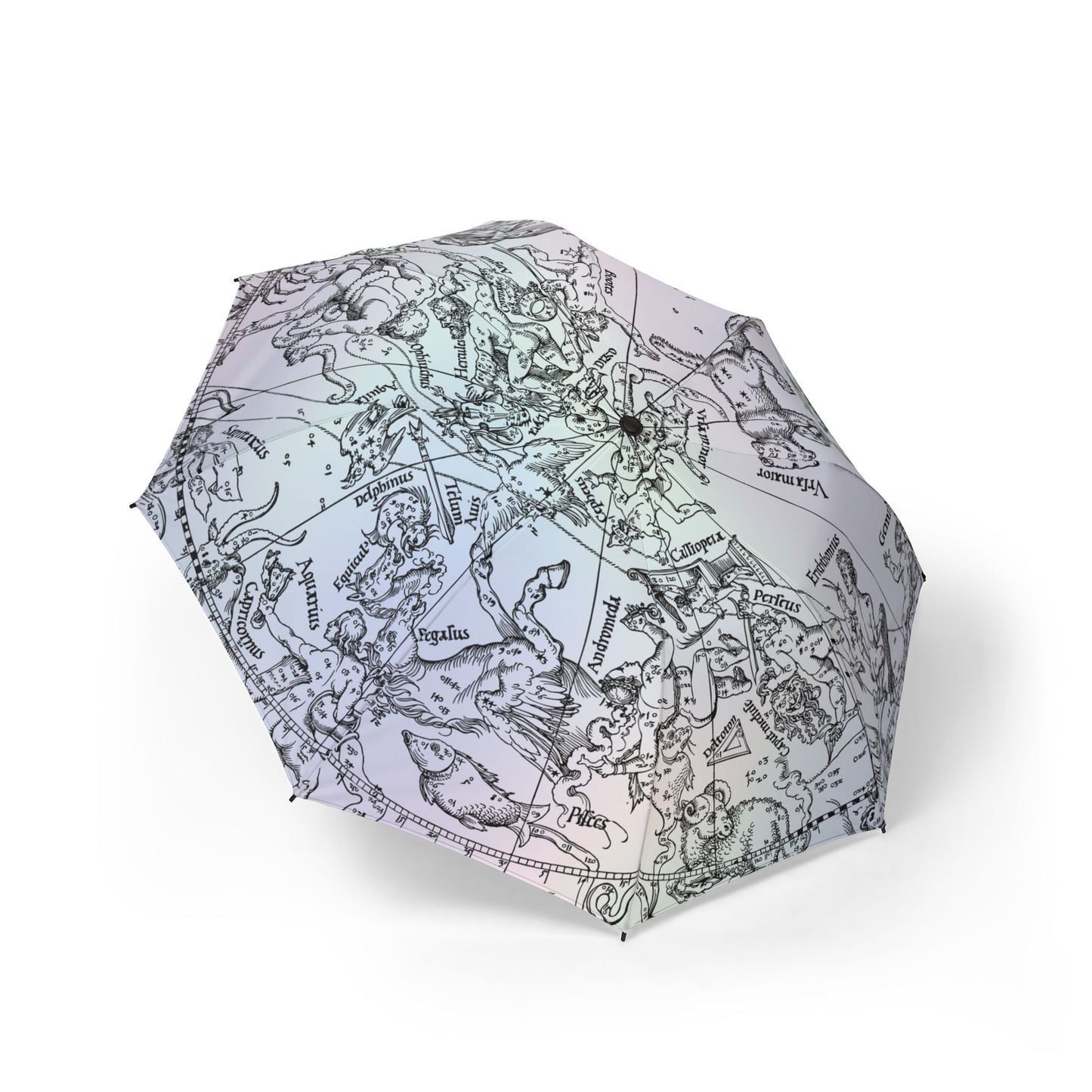Constellation Map Umbrella